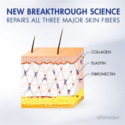  Elastin: Revolutionäre Eigenschaften für den medizinischen Fortschritt!